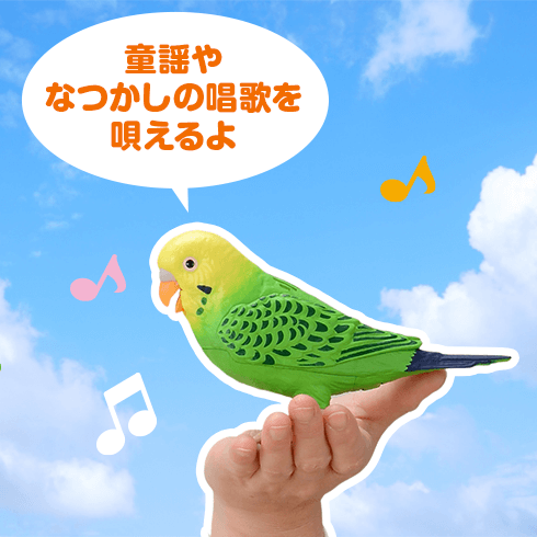 毎日おしゃべり 天才インコちゃん