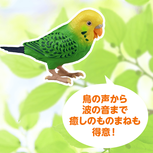 毎日おしゃべり 天才インコちゃん