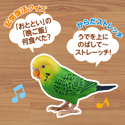 毎日おしゃべり 天才インコちゃん