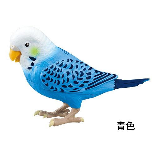 毎日おしゃべり 天才インコちゃん