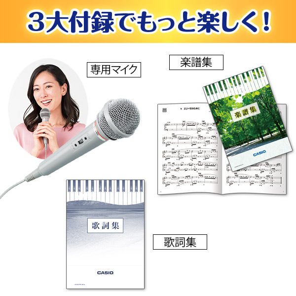 カシオ 楽らくキーボード　LK-536